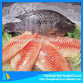 Gefrorene Tilapia ist in der Welt sehr beliebt